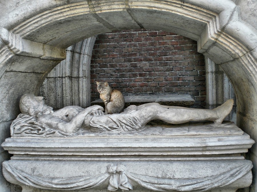 cat on a tombstone