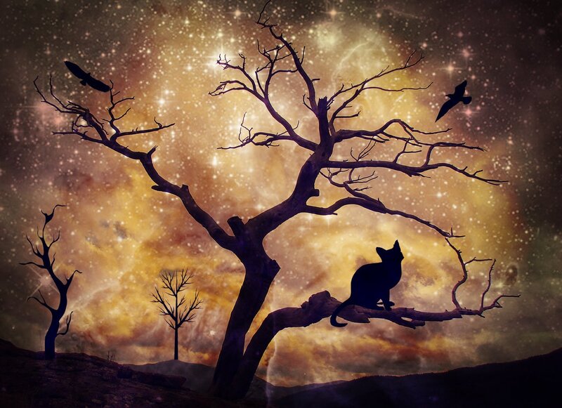 Cat on a Tree Branch — Yellow