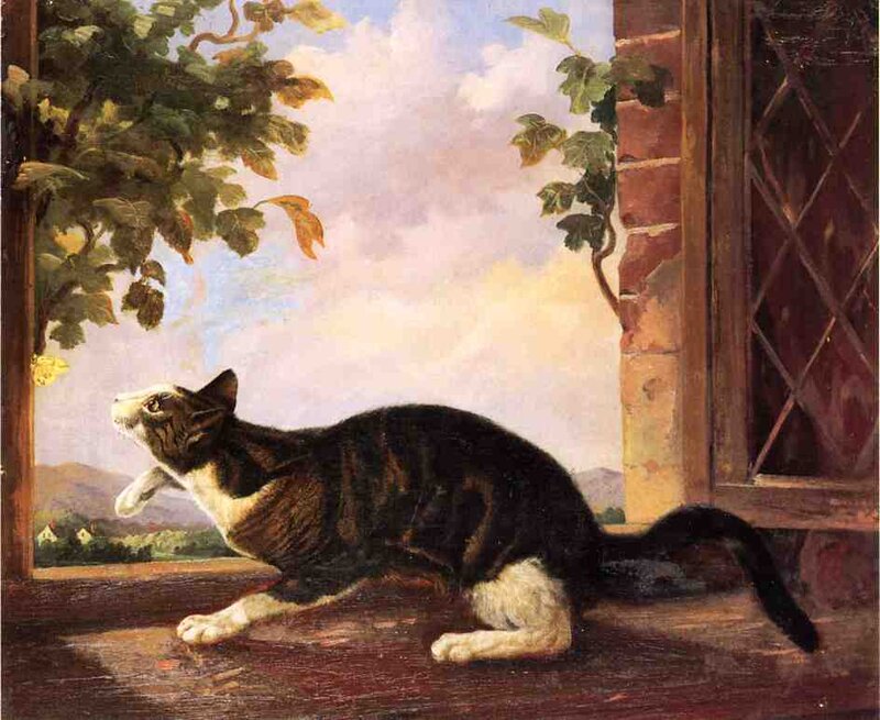 Cat on a windowsill