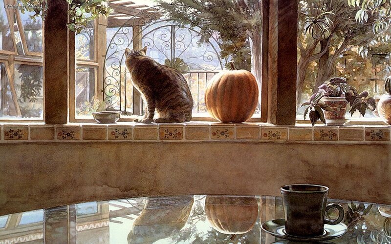 Cat on a windowsill with pumpkin