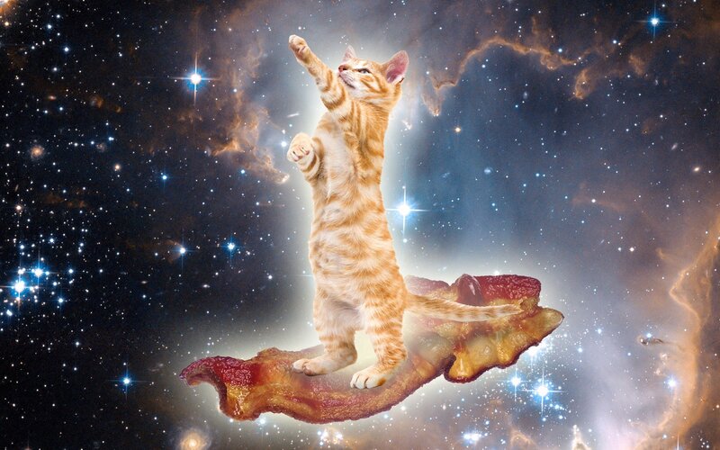 Cat on Bacon Slice — Orange, Whimsical