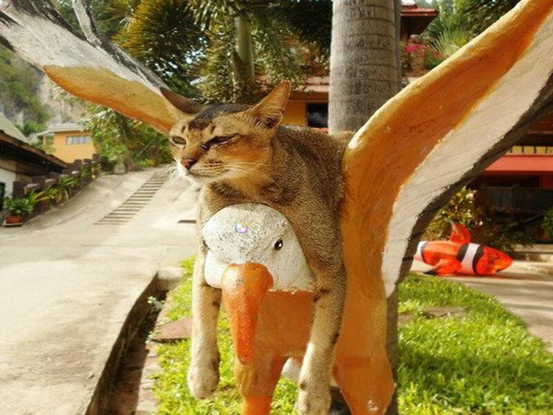 Cat on Bird Statue