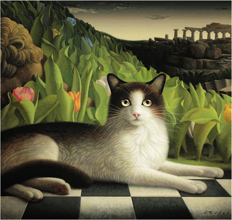 Cat on Checkerboard