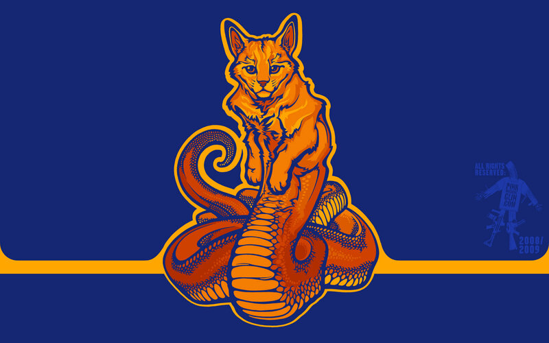 cat on coiled snake