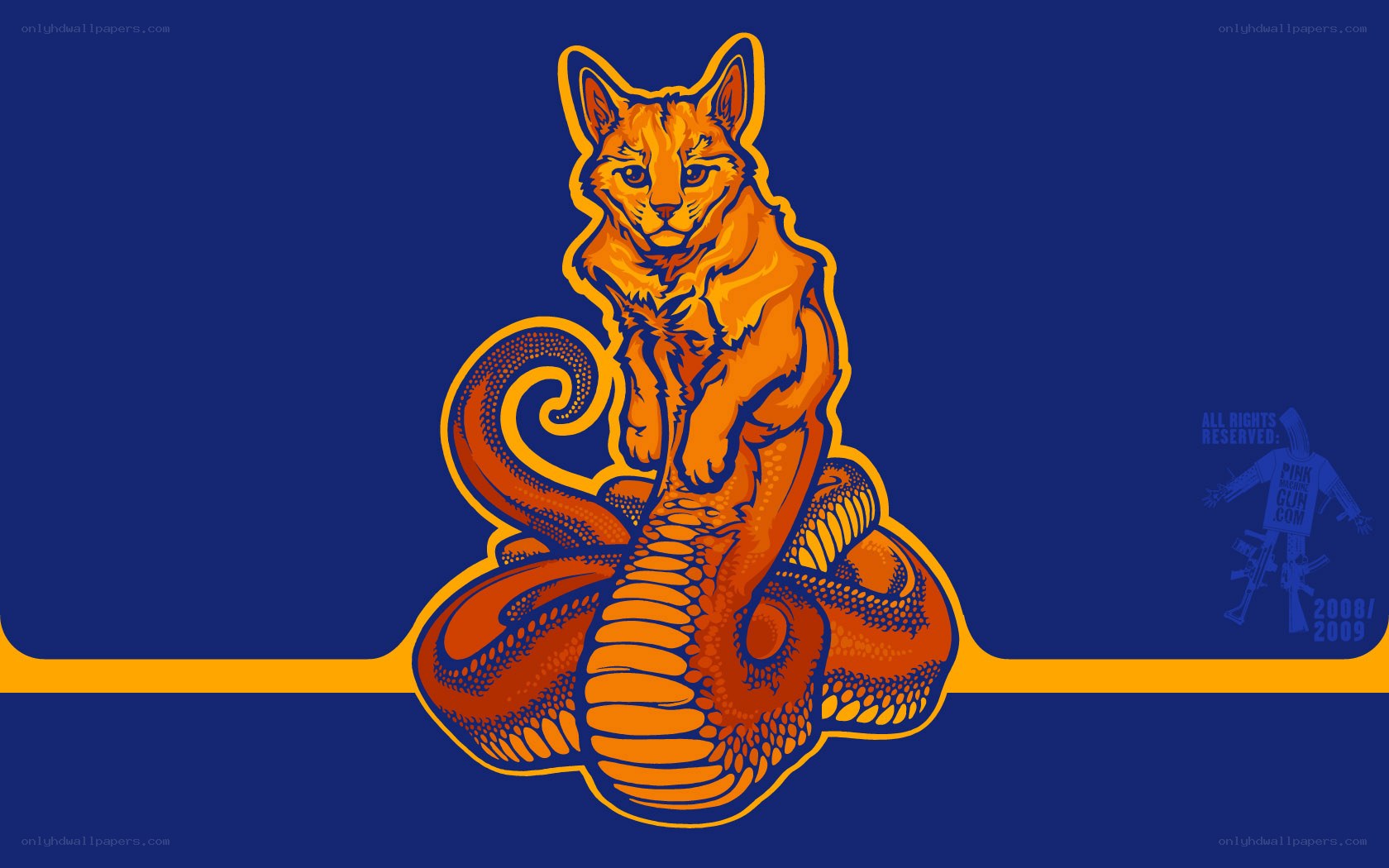 cat on coiled snake