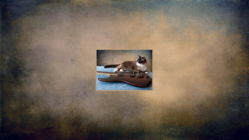 Cat on Electric Guitar