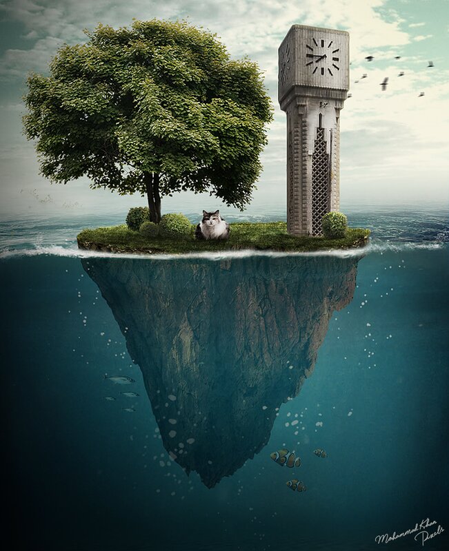 Cat on Floating Island