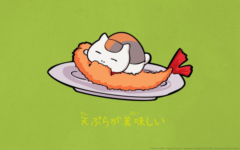 Cat on Fried Shrimp