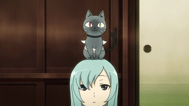 cat on girl's head