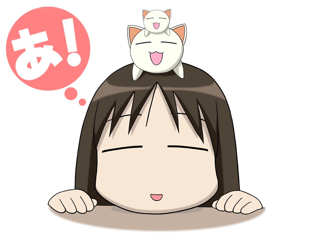 cat on girl's head