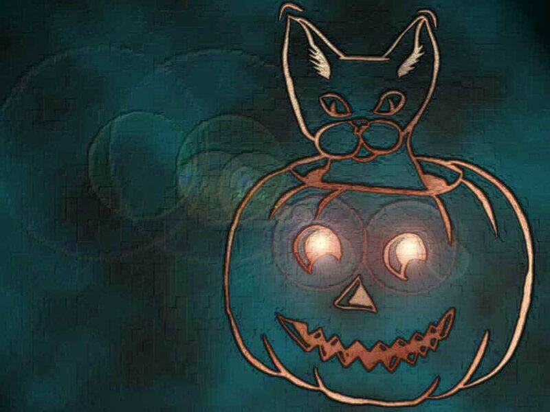 cat on jack-o-lantern