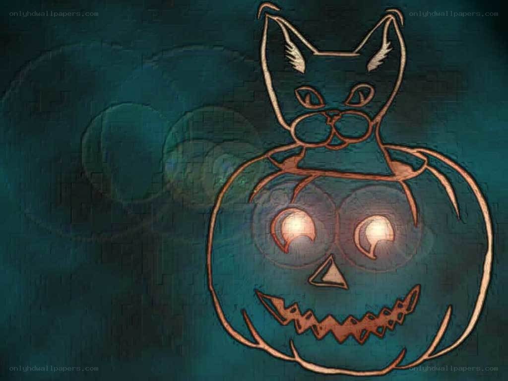 cat on jack-o-lantern