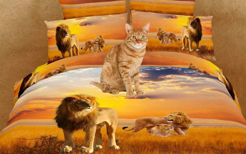 Cat on Lion Bedding