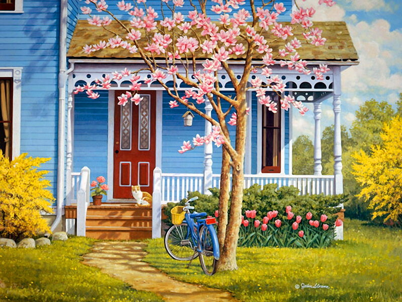 Cat on Porch Steps — Blue, Serene