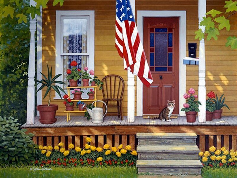 Cat on Porch