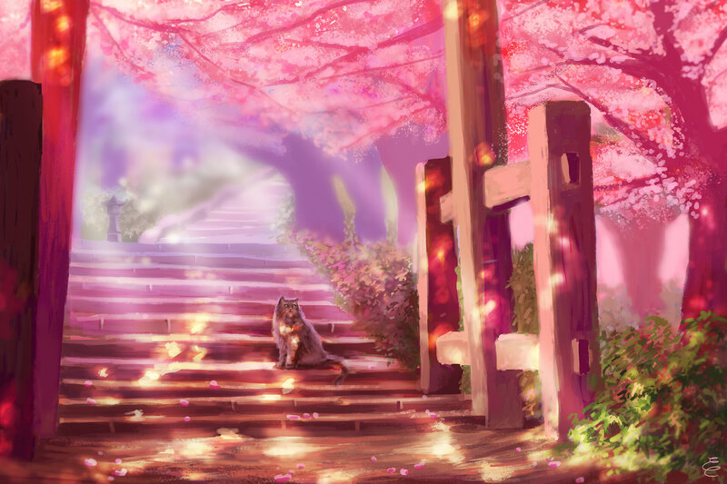 Cat on Stone Steps — Pink