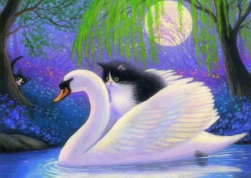 Cat on Swan