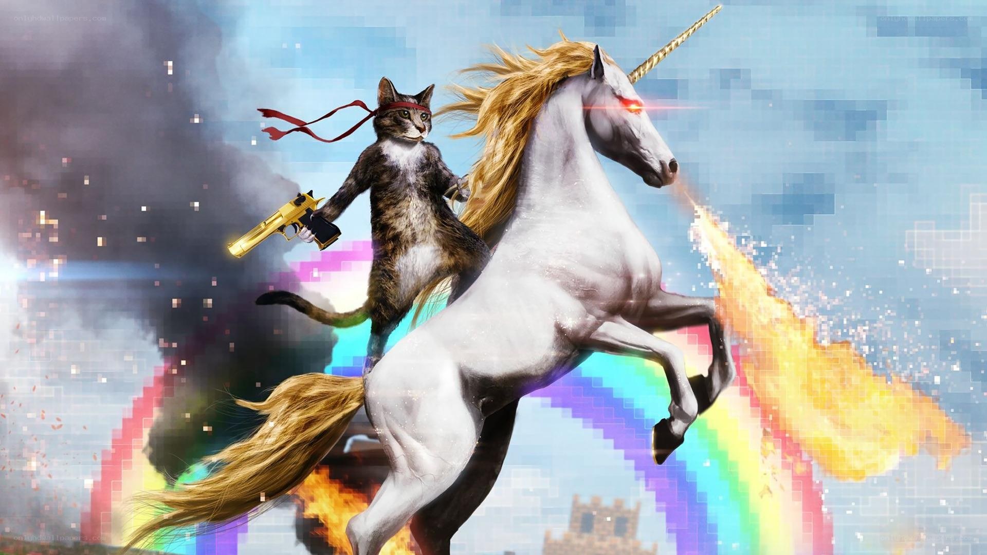 cat on unicorn with gun