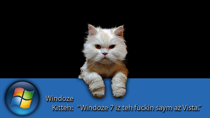 cat on windows desktop