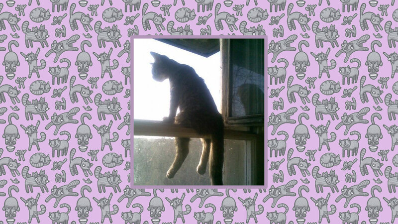 Cat on Windowsill — Purple