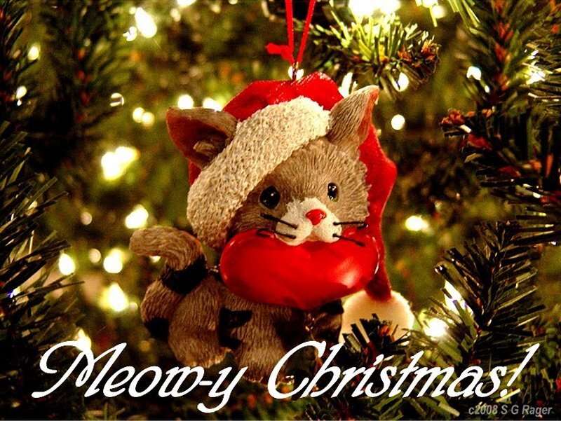 Cat Ornament on Tree