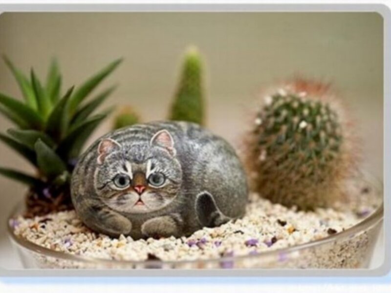 cat painted on a rock
