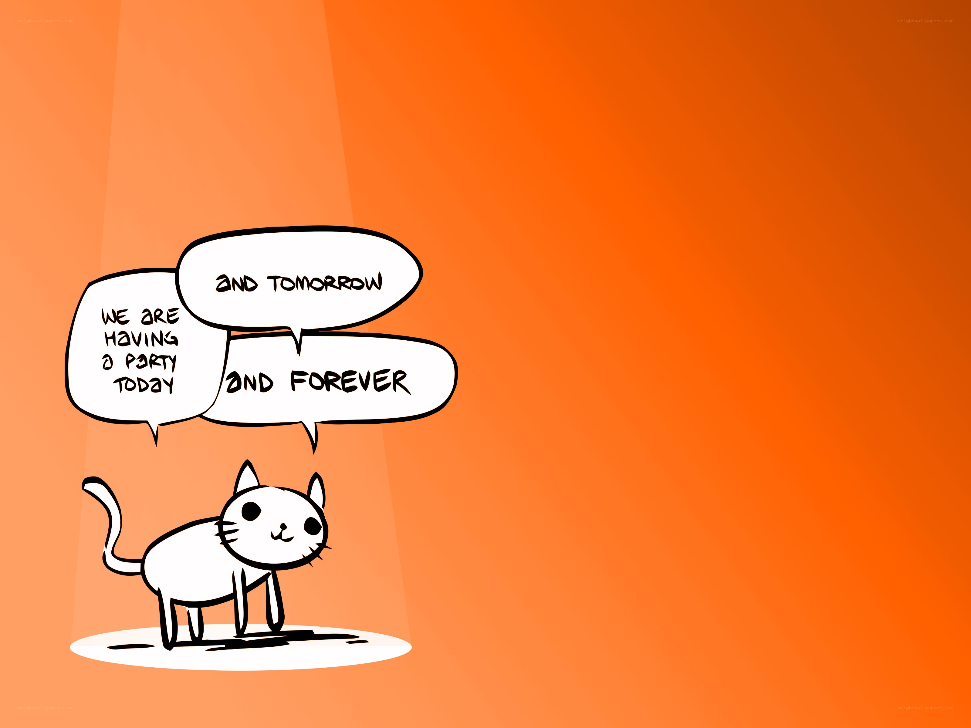 cat party announcement