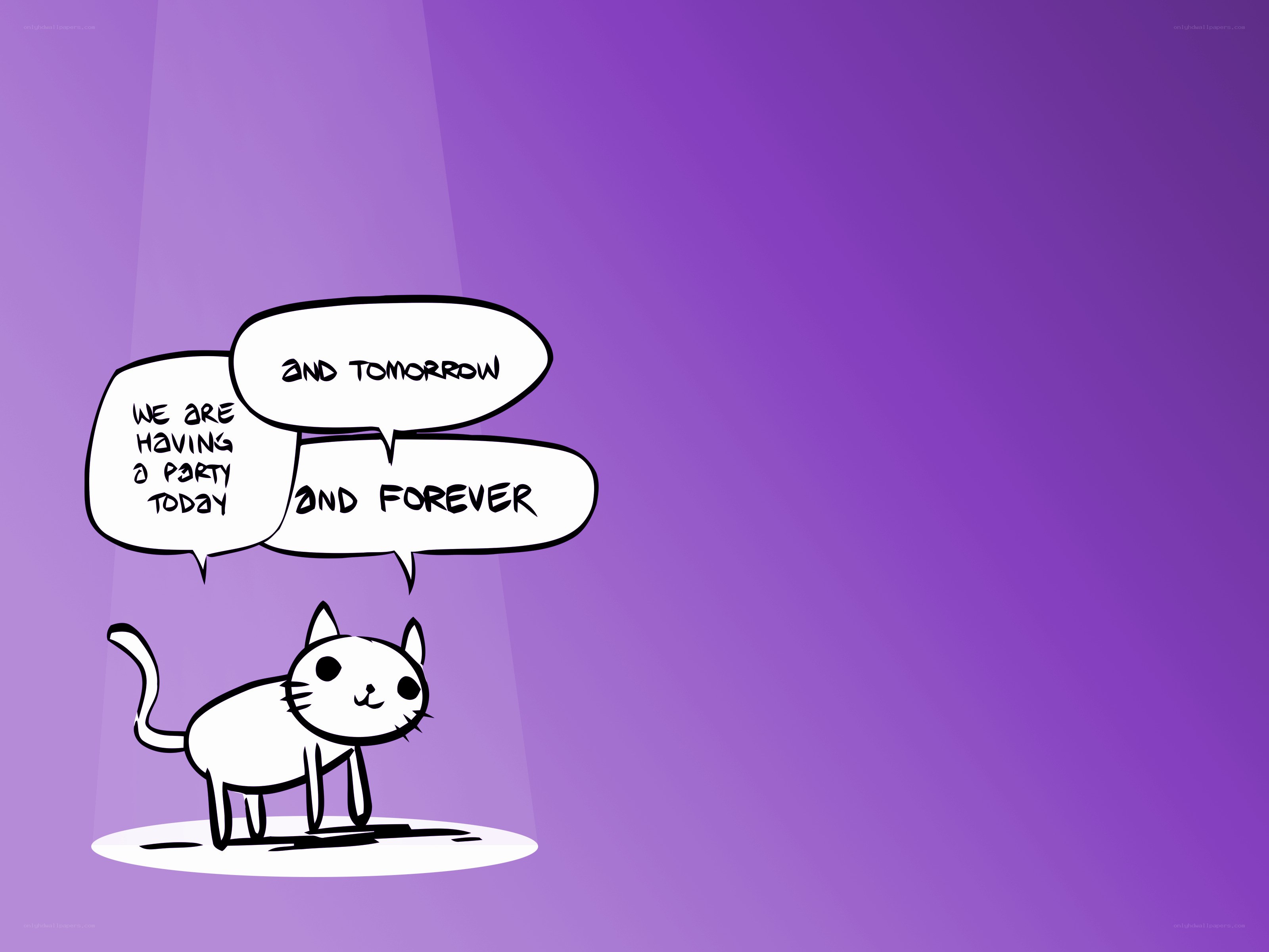 cat party forever