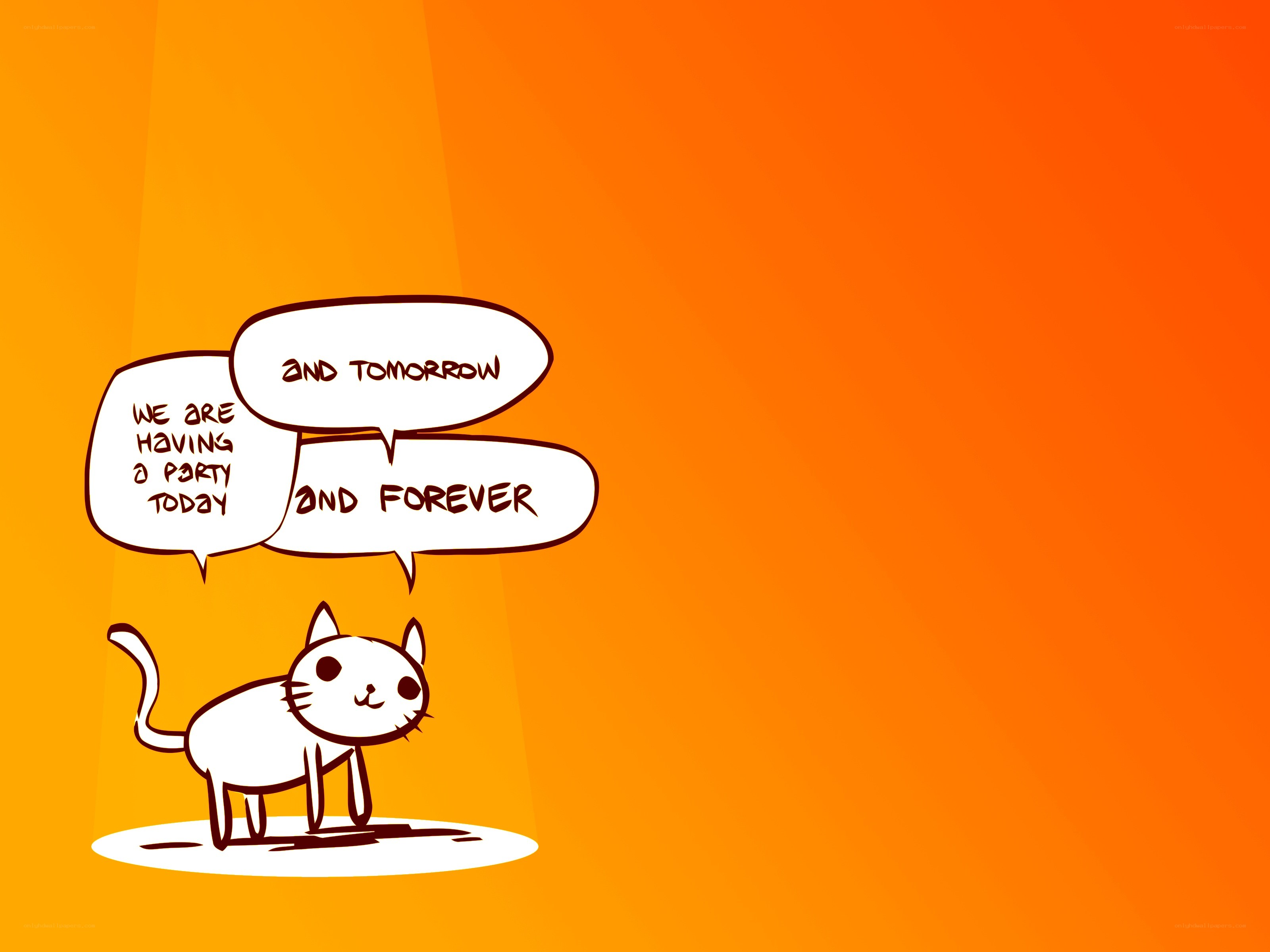 cat party quote