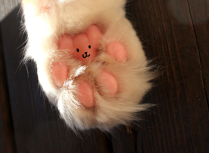 Cat Paw with Drawn Face