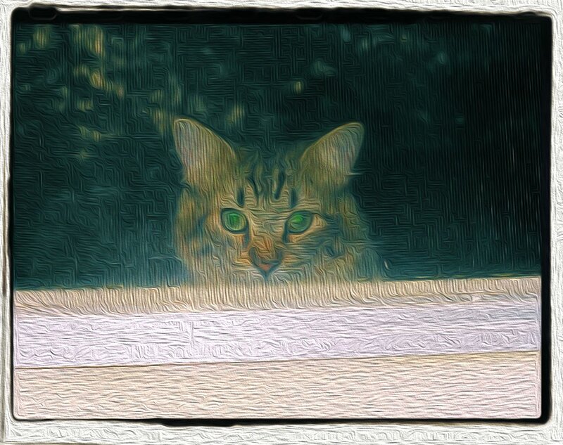 Cat Peeking over Edge — Green