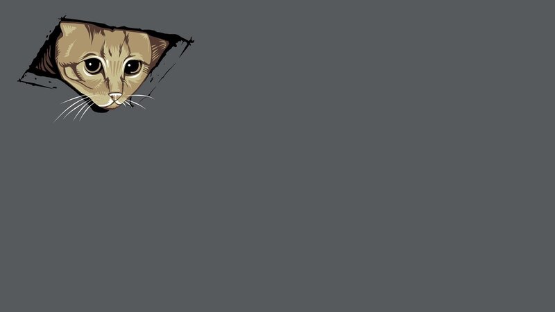 Cat Peeking Through Hole — Gray