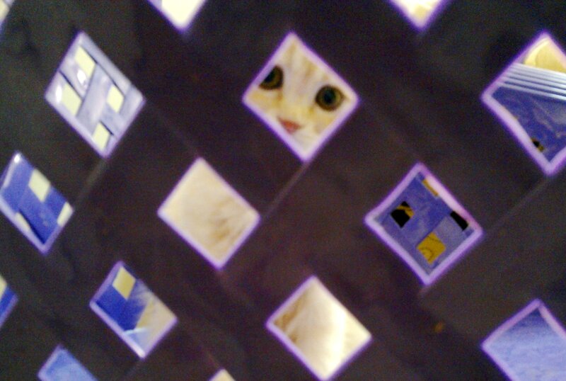 Cat Peeking Through Holes