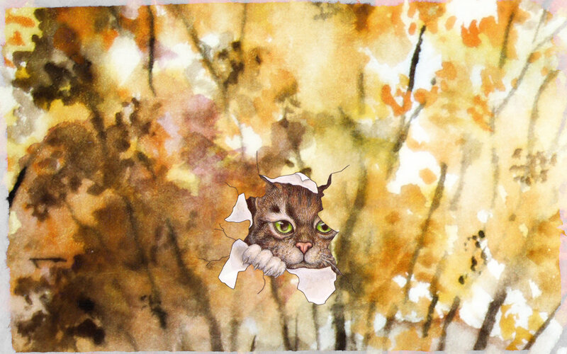 Cat Peeking Through Paper