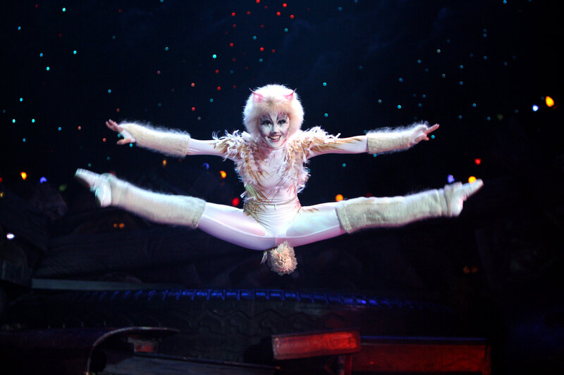 Cat performer in split pose