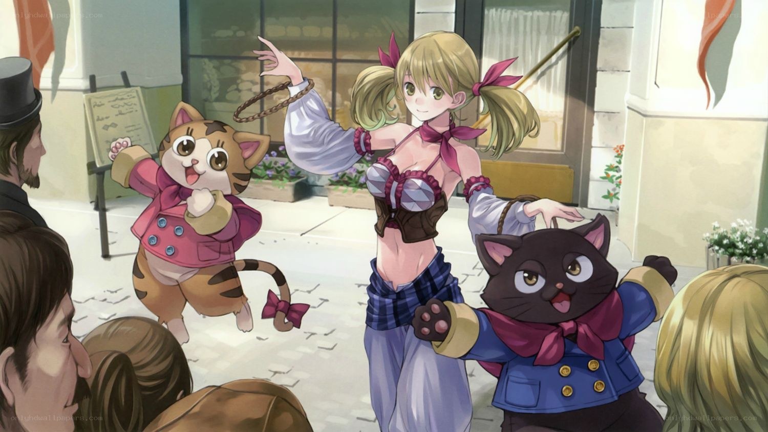 Cat performers in a street show