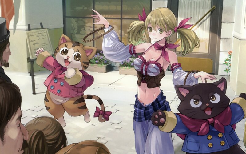 cat performers in a street show