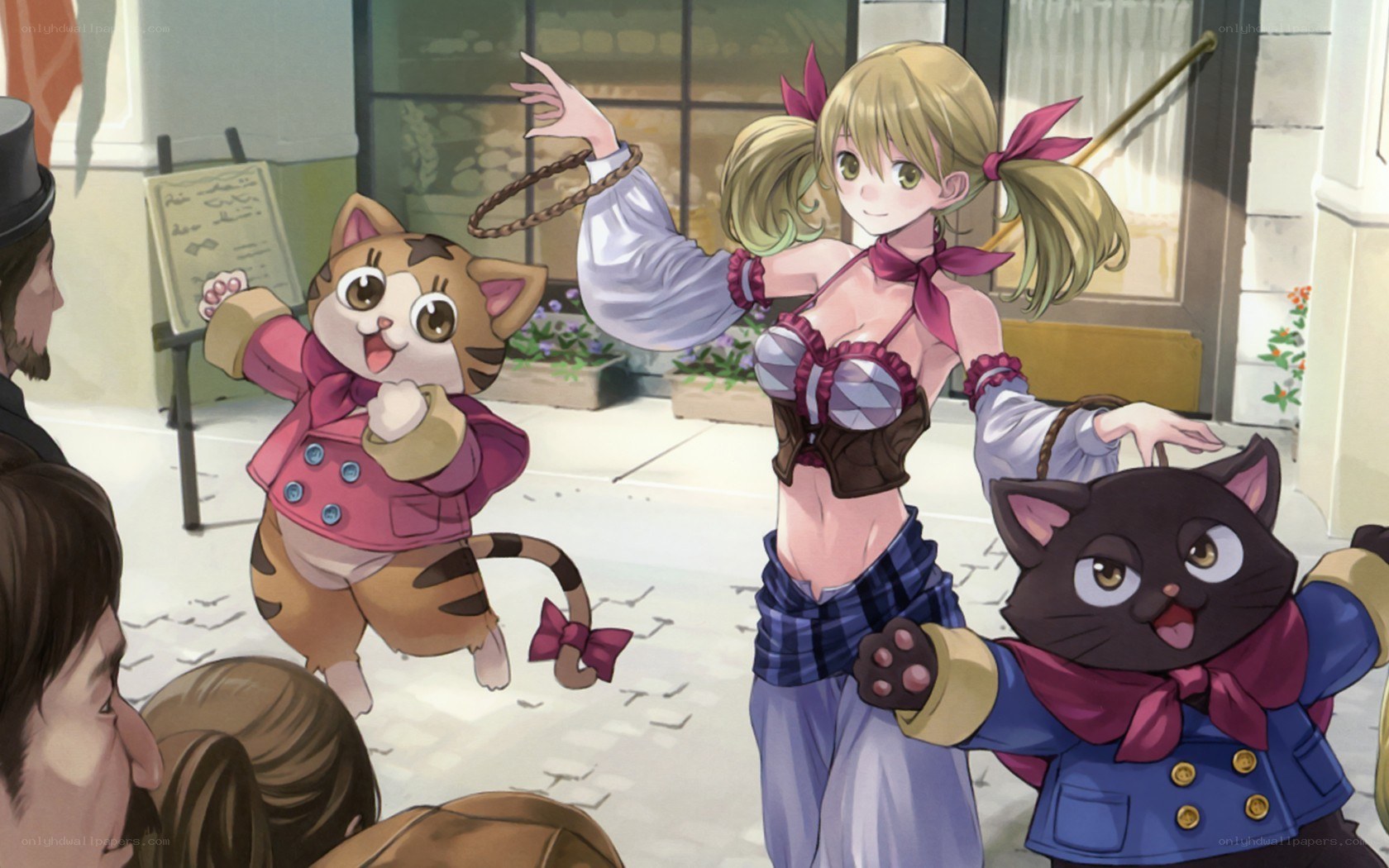 cat performers in a street show
