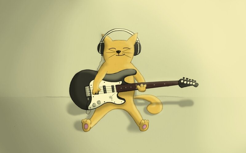 cat playing electric guitar