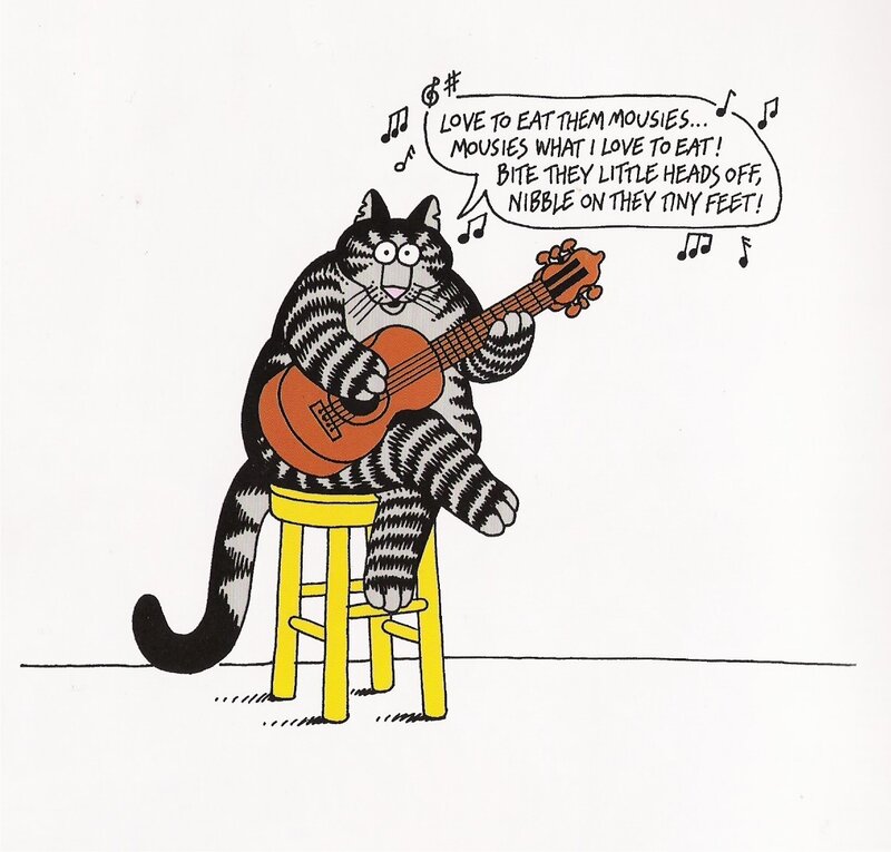 Cat playing guitar