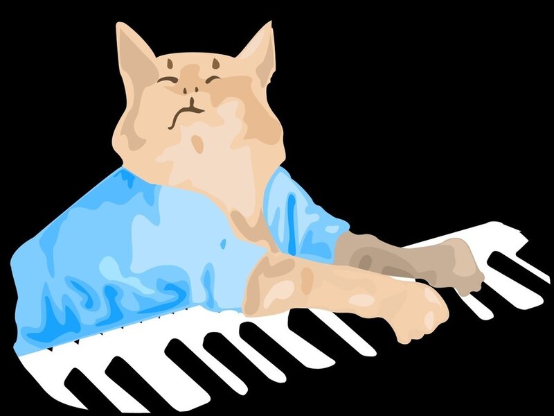cat playing keyboard