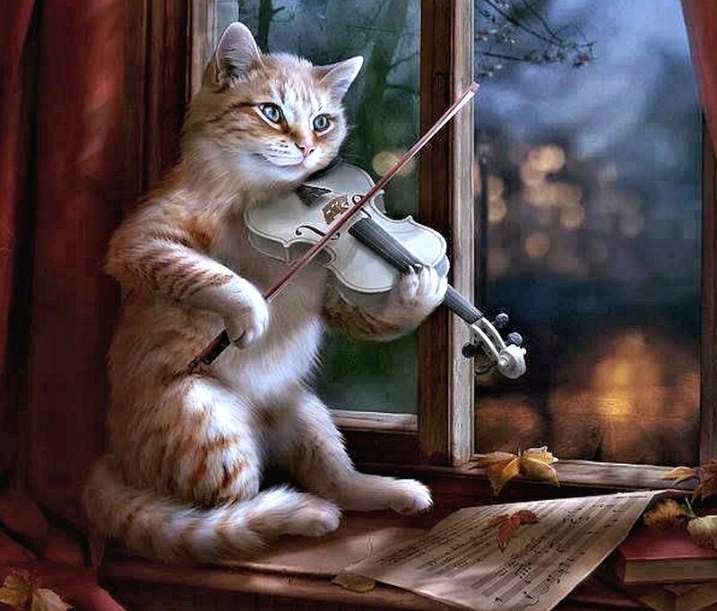 Cat Playing Violin — Orange