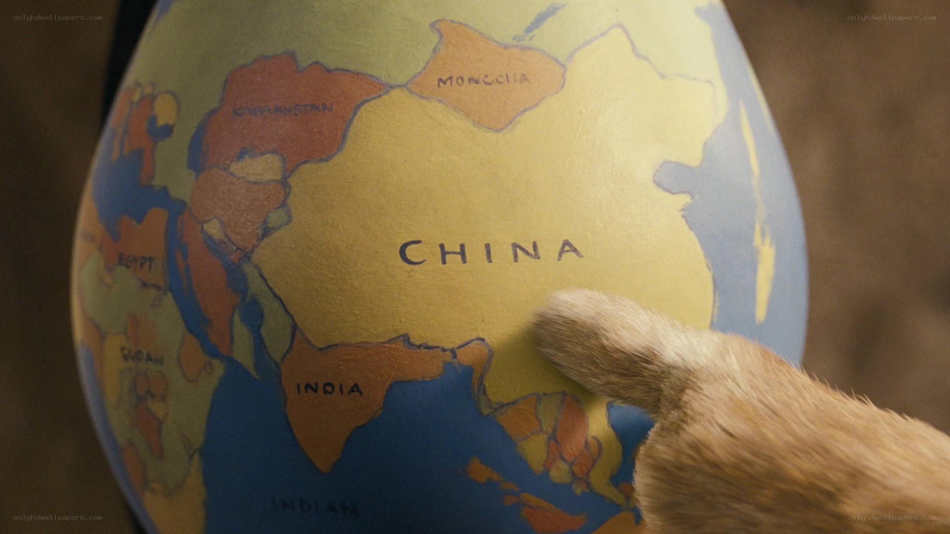 cat pointing at china on globe