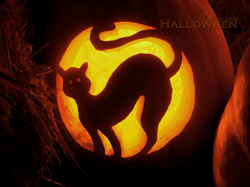 cat pumpkin carving