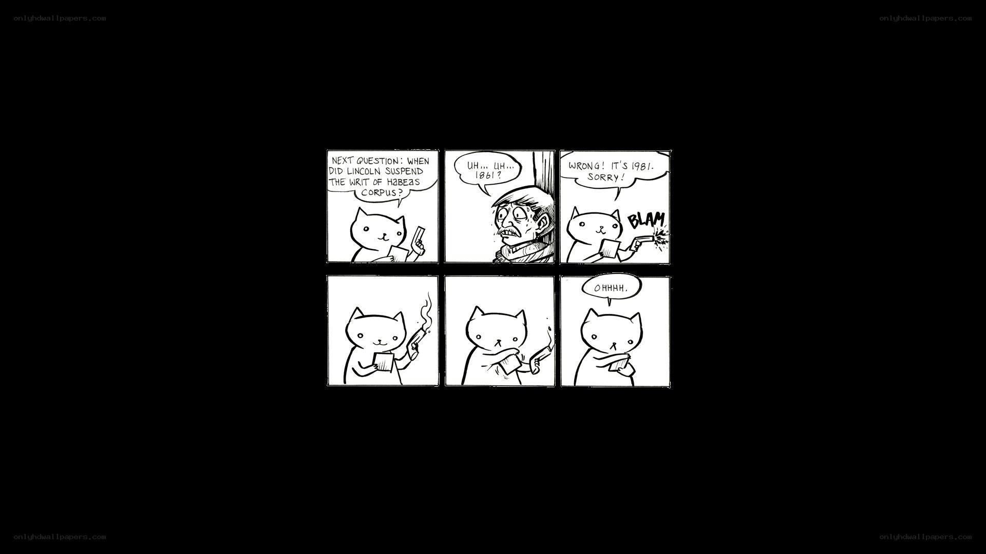 Cat quiz comic