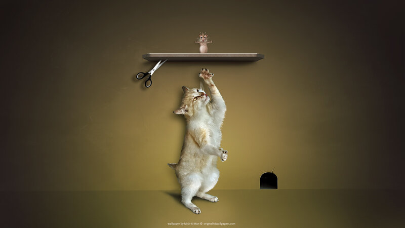 Cat Reaching for Mouse