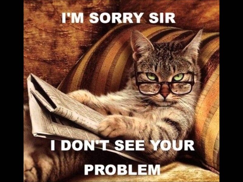 Cat Reading Newspaper