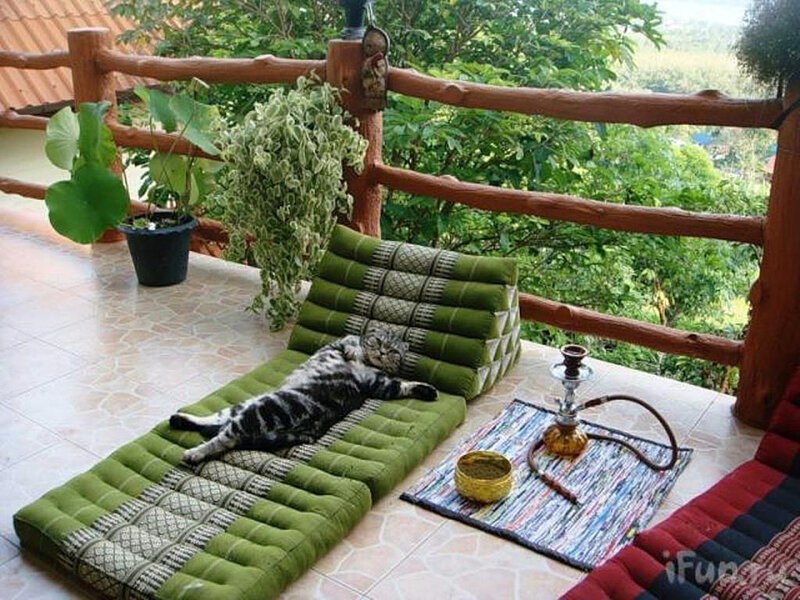 Cat relaxing on balcony