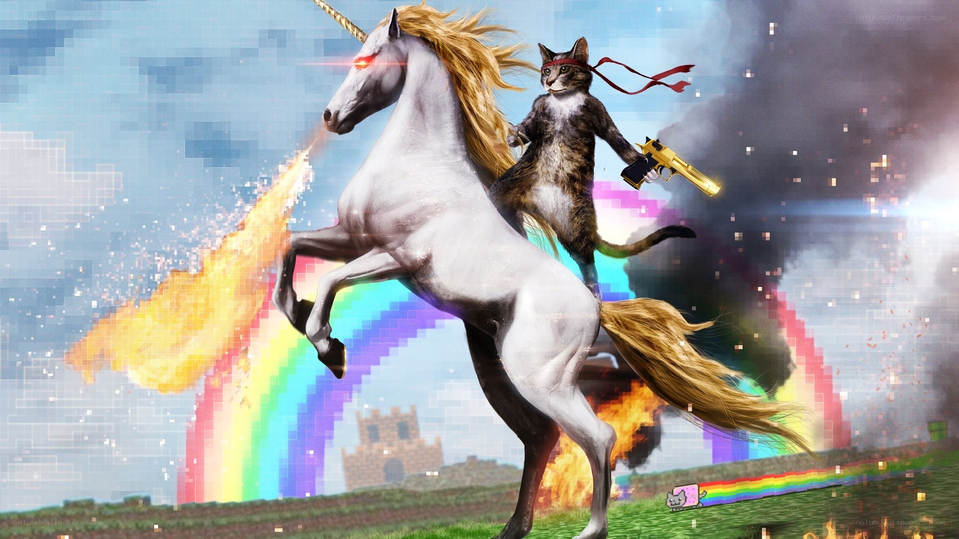 cat riding unicorn with gun