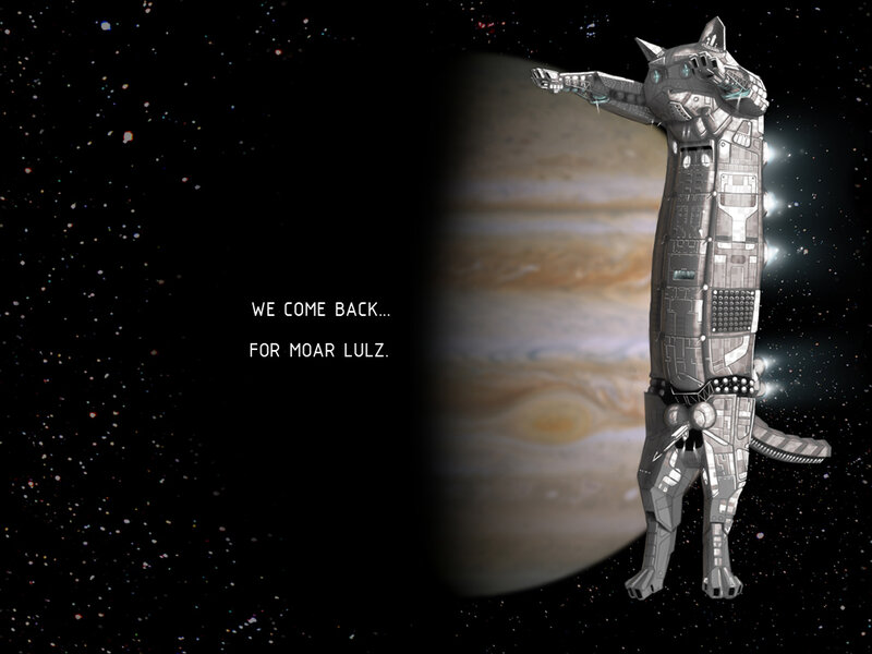 cat robot in space